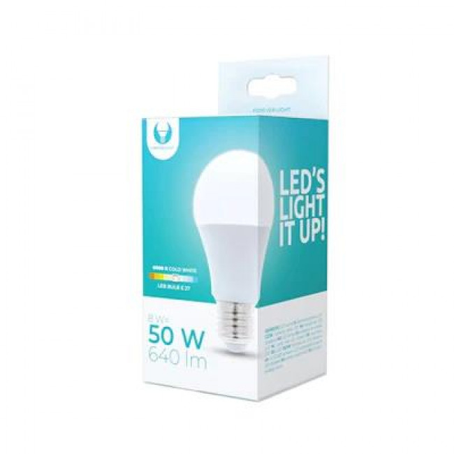 Forever Light Λάμπα LED για Ντουί E27 και Σχήμα A60 8W Ψυχρό Λευκό 6000K 640lm (RTV003460)